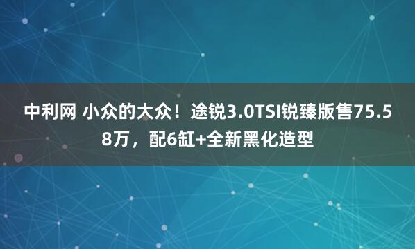 中利网 小众的大众！途锐3.0TSI锐臻版售75.58万，配6缸+全新黑化造型