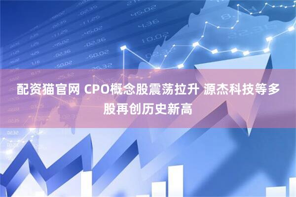配资猫官网 CPO概念股震荡拉升 源杰科技等多股再创历史新高