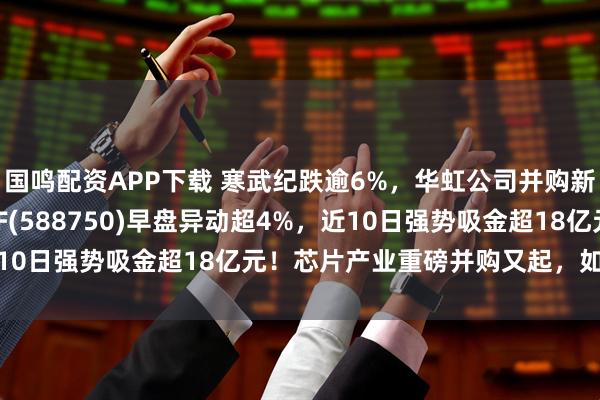 国鸣配资APP下载 寒武纪跌逾6%，华虹公司并购新进展！科创芯片50ETF(588750)早盘异动超4%，近10日强势吸金超18亿元！芯片产业重磅并购又起，如何解读？