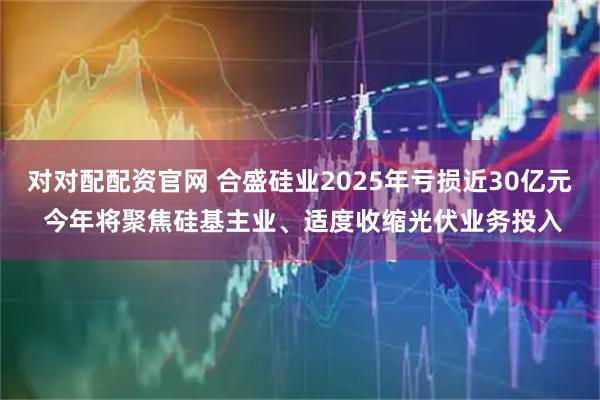 对对配配资官网 合盛硅业2025年亏损近30亿元 今年将聚焦硅基主业、适度收缩光伏业务投入